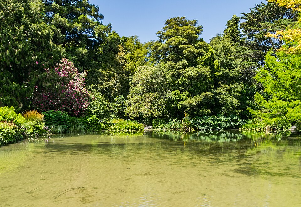 基督城植物园与雅芳河代表景观（条目主图，非当前实况）